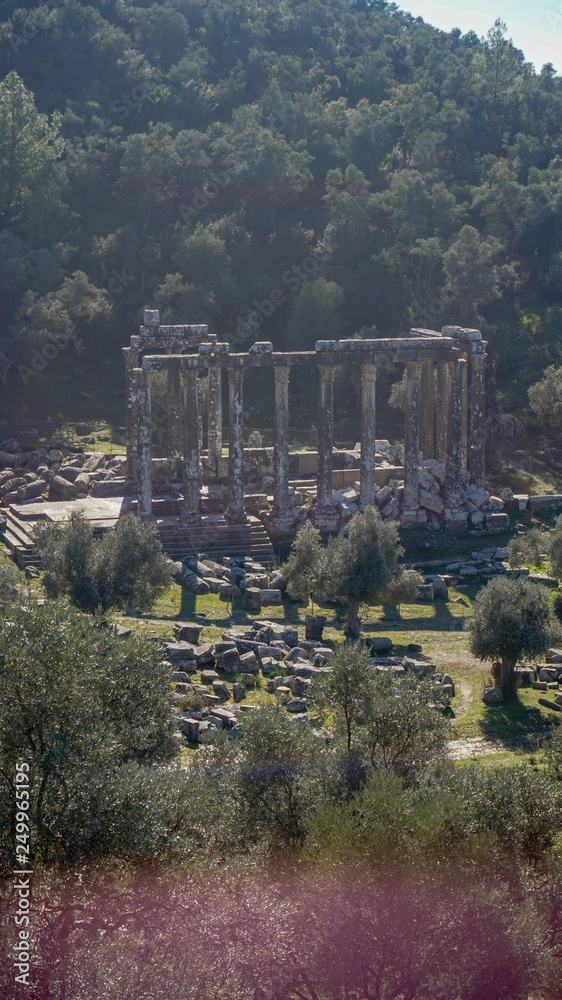 Obraz premium Euromos ancient city (antik kenti)