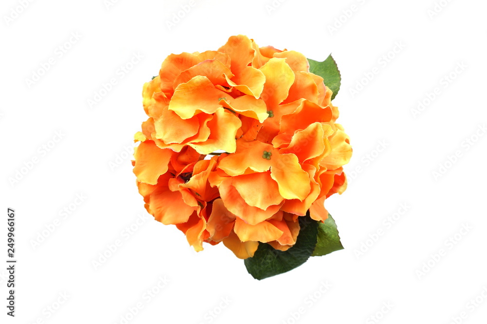 artificial hydrangea flowers bouquet isolated on white background