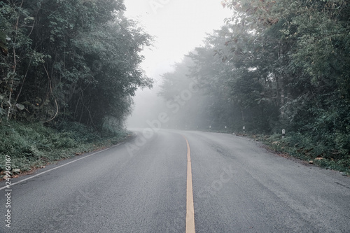 The road in a forest covered in fog, leaf green vintage style.
