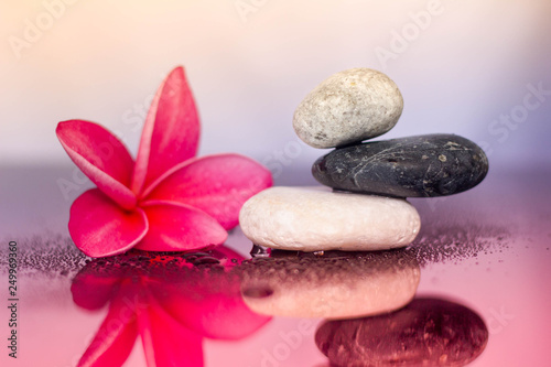 Spa concept of zen stones and frangipani flower on black reflective board.