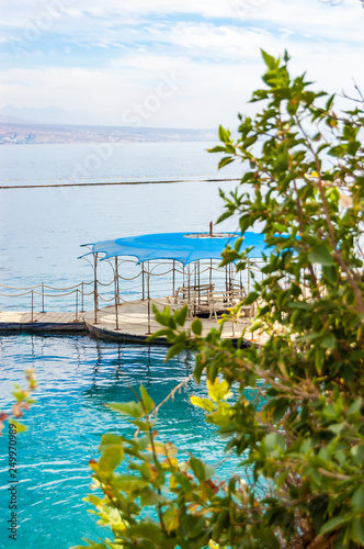 Southern plants close-up with on water pavilions and wooden walkways in Eilat  Israel