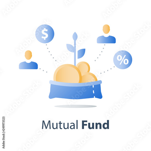 Investment fund structure, mutual fund concept, financial portfolio, consolidated finance, pension savings account, money growth