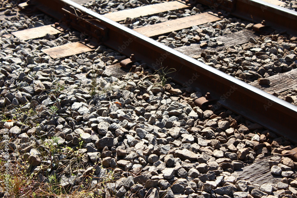 Naklejka premium 線路 雑草