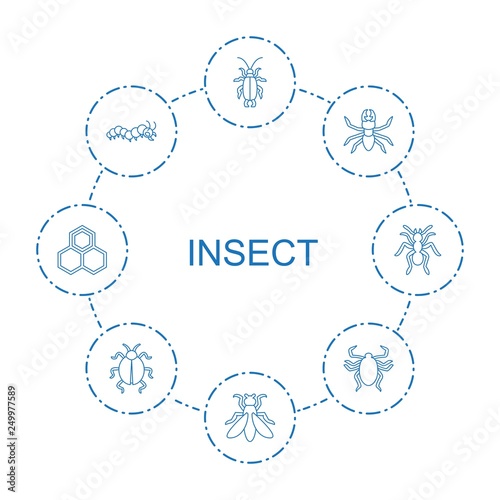 insect icons