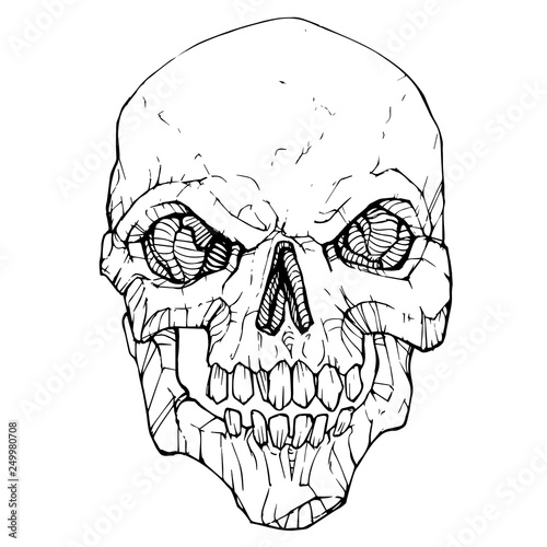 Vector illustration of scull isolated on white background - vector graphic