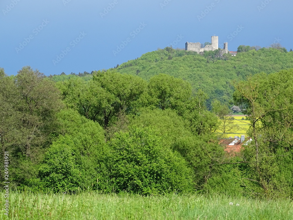 Castle ruin of Wolfstein near Neumark