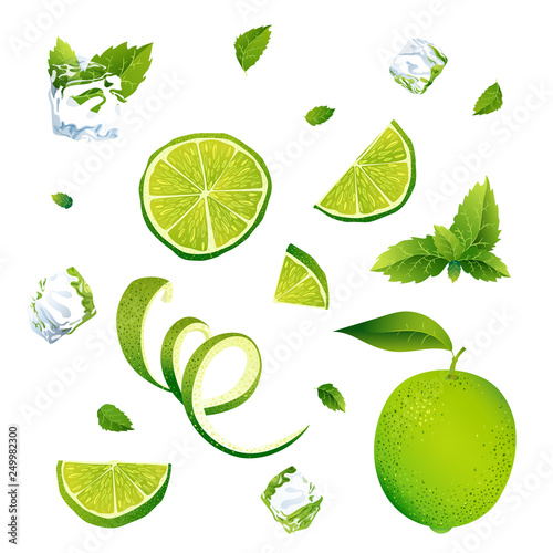 Vector illustration. Set of parts of orange.