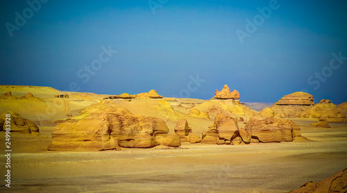 Nature sculpture in Wadi Al-Hitan aka Whales Valley  Egypt