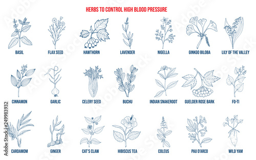 Best herbs that lower high blood pressure