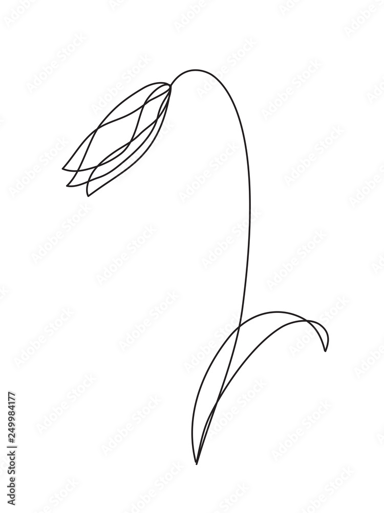 Tulips line art