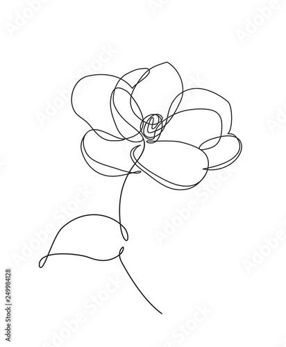 rose line icon