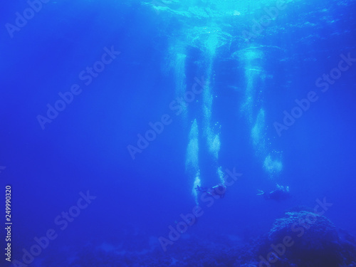  group of divers swimming under water. summer concept