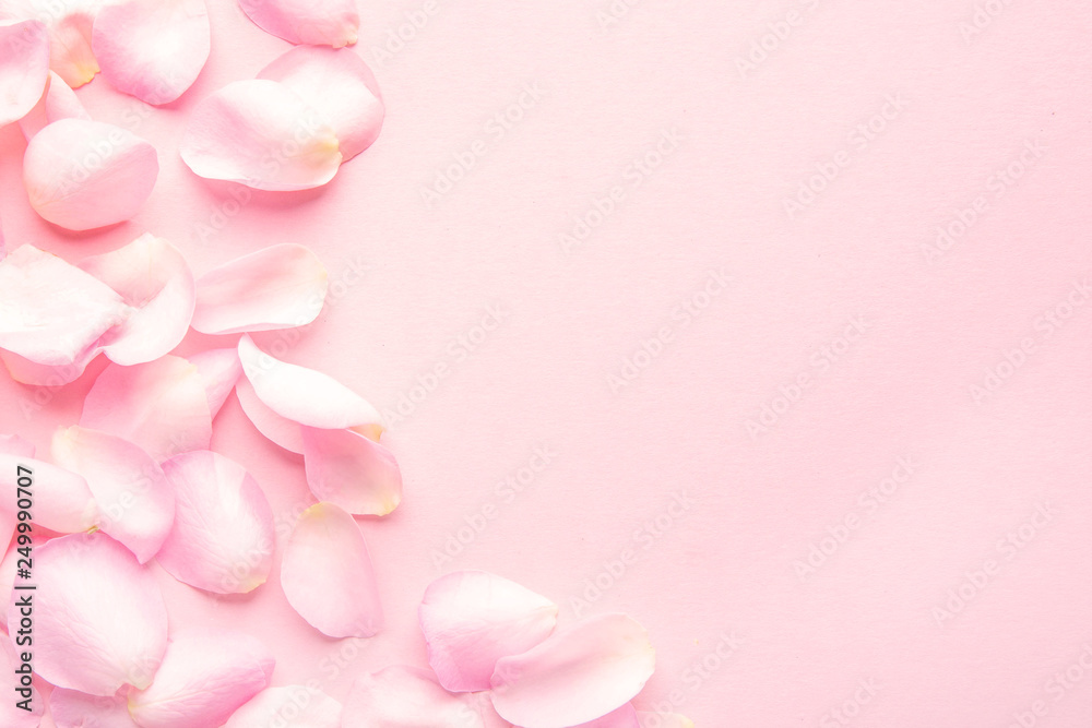 Fototapeta premium Rose flower petals