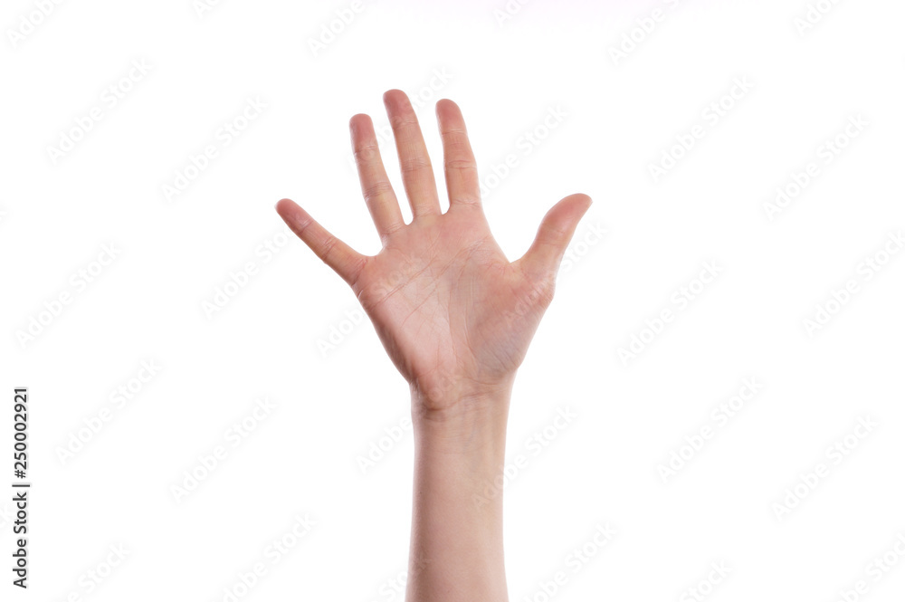 Hands Hands