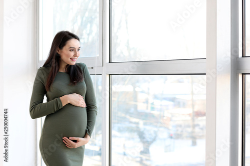 Free Download Beautiful pregnant woman near window at home - GFXLoad