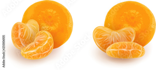 Set of realistic mandarin or tangerine slices