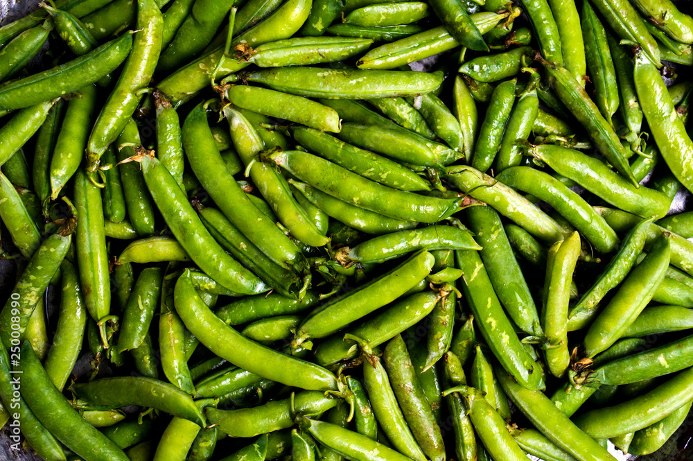 Green beans with shell background pattern Green beans with shell background pattern