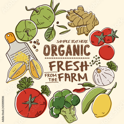 Fresh organic farm vegetables