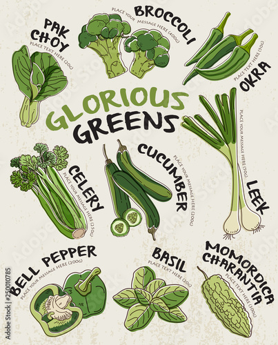 Green Vegetables background vector.
