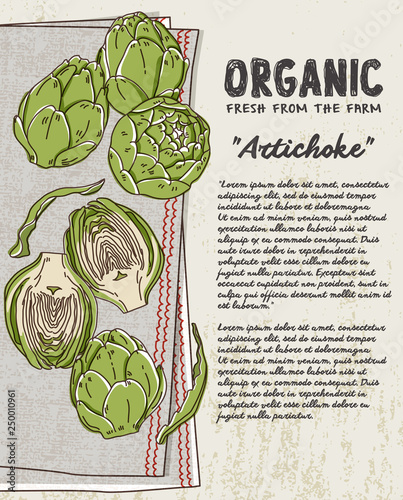 Fresh Artichoke on cotton napkin background. Fresh organic food.