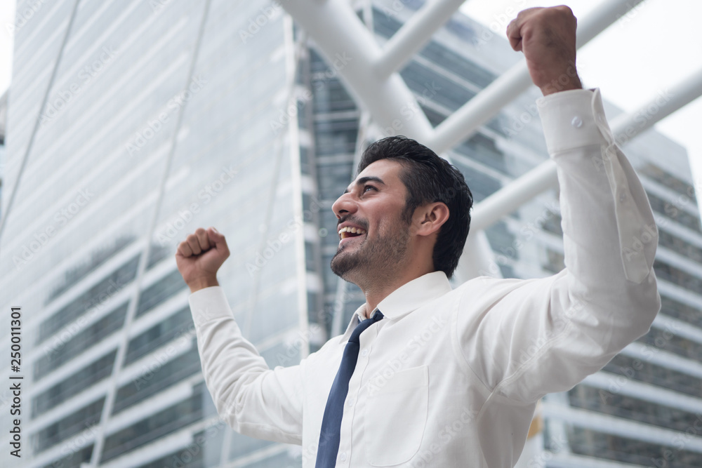 strong asian business man; portrait of Asian, north indian successful, happy, confident businessman, office worker, business executive, boss, manager strong asian business man; portrait of Asian, north indian successful, happy, confident businessman, office worker, business executive, boss, manager