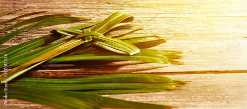 Palm Sunday concept photo