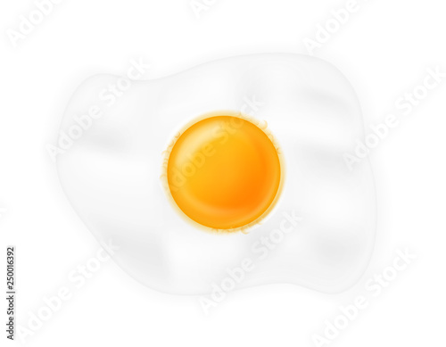 fried roast egg stock vector illustration