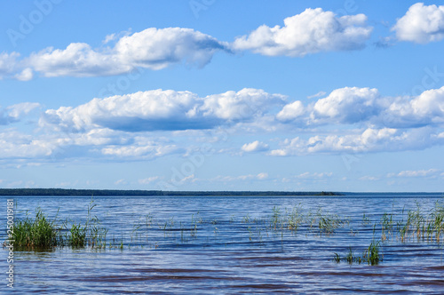 Blue sky with Cumulus clouds over the Lake Ladoga shore