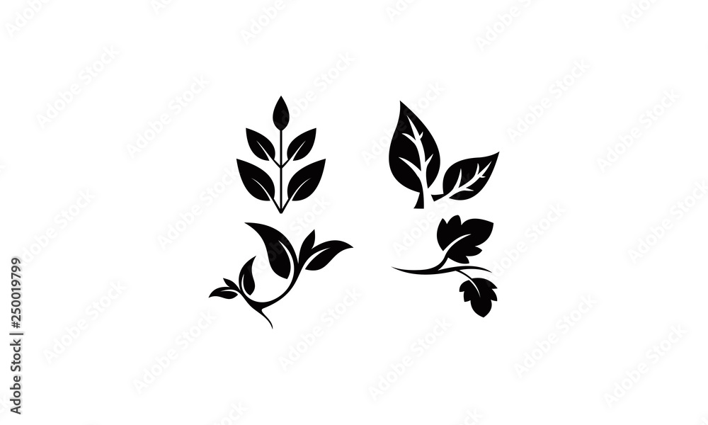 leaf branch vector leaf branch vector