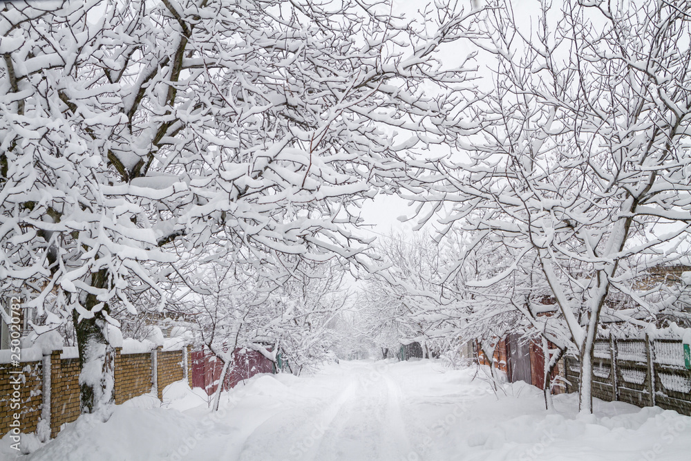 Snowfall in village street Snowfall in village street