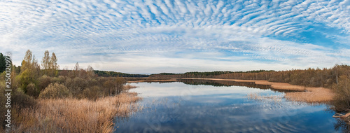 Natural landscape. Cirrus clouds and trees are reflected in the water of a lake or river. The shores of the reservoir in dry reeds. Autumn or early spring. Panoramic view.