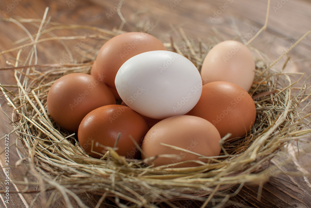Fresh village chicken eggs on dark wooden background. Easter entourage. Basket or socket Fresh village chicken eggs on dark wooden background. Easter entourage. Basket or socket
