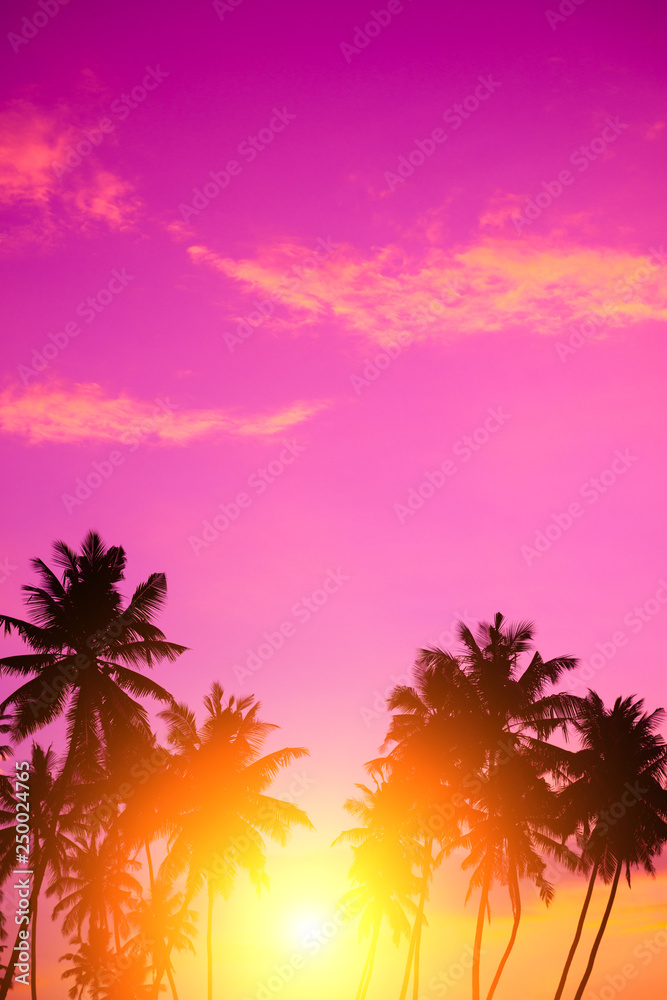 Beautiful sunset on tropical beach. Palm trees on island shore vertical with vivid sky as copy-space.