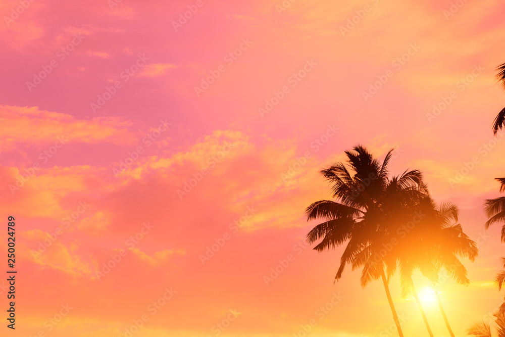 Tropical sunset. Coconut palm trees with shining sun, vivid sky and copy-space.