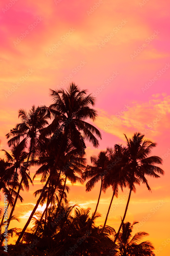 Tropical sunset coconut palm trees