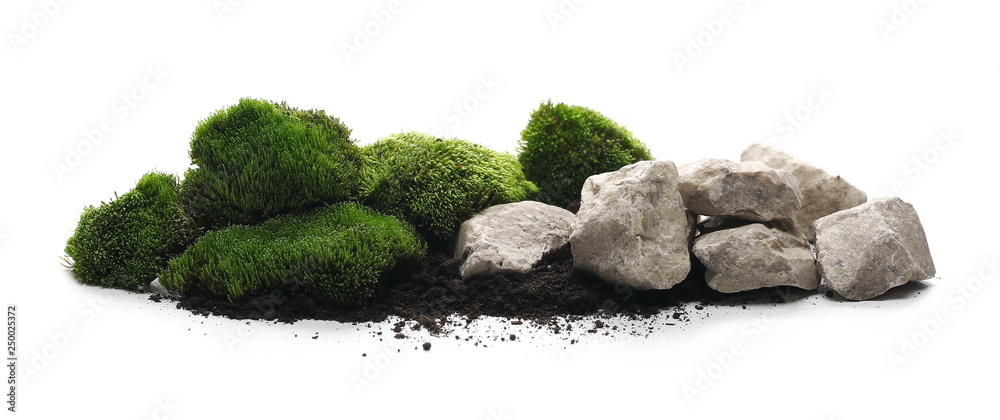 Green moss with dirt, soil and decorative stone, rock isolated on white background - obrazy, fototapety, plakaty 