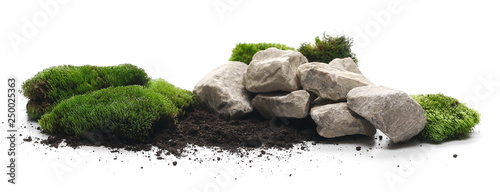 Green moss with dirt, soil ...