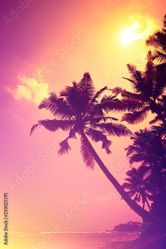 Fototapeta Naklejka Na Ścianę i Meble -  Tropical coast sun down. Sunset beach vintage toned. Coconut palm tree silhouette.