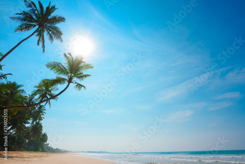 Tropical ocean shore with coconut palm trees. Empty vacation island beach.
