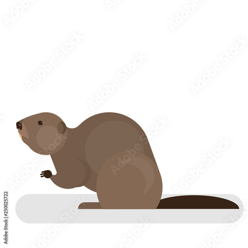 Beaver character. Brown mammal animal. Forest and wildlife