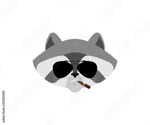 Raccoon Cool serious avatar of emotions. Racoon smoking cigar emoji. Coon strict. Vector illustration