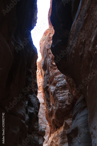 canyon of yellowstone