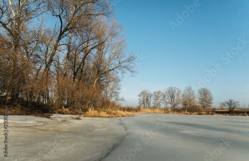 Sunny meadow in early spring. Frozen lake and poplar trees