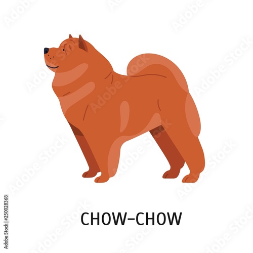Chow Chow