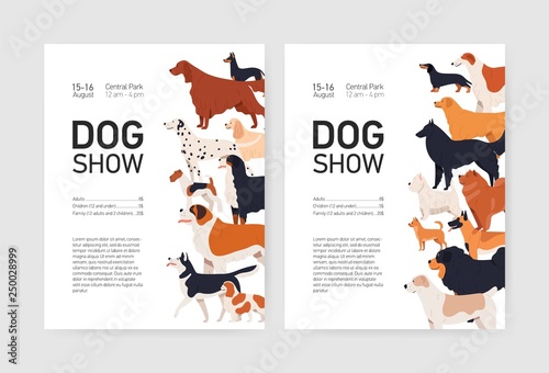 Bundle of flyer or placard templates for conformation dog show with adorable doggies of different breeds and place for text. Colored vector illustration in flat cartoon style for event invitation.