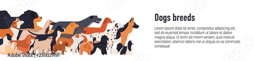 Banner template for conformation dog show with group of cute funny doggies of various breeds and place for text. Colorful vector illustration in flat cartoon style for event advertisement, promotion.