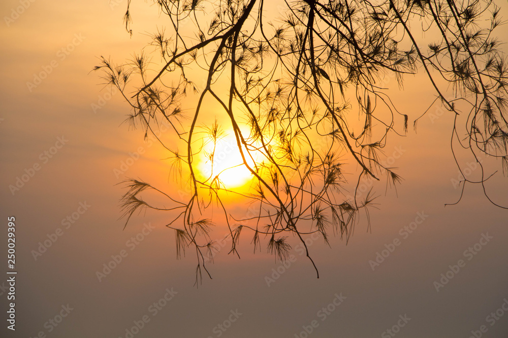 Obraz premium Sunrise Beach