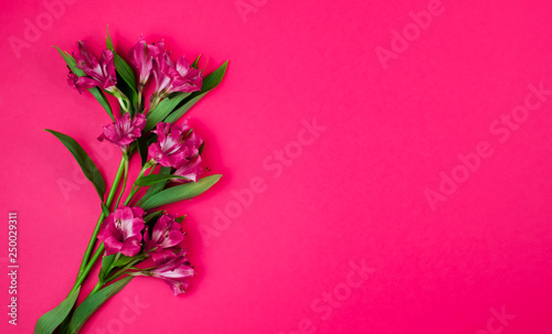 Congratulatory bouquet of flowers on a pink background. Postcard