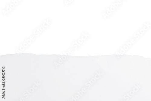 Torn paper on white background.