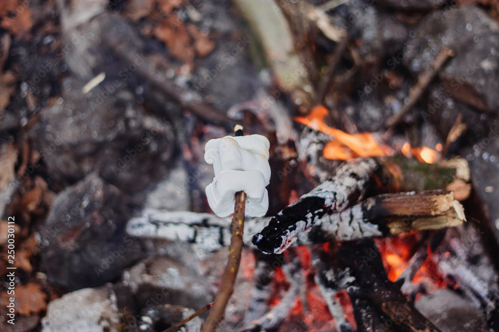 Fototapeta premium marshmellow over fire